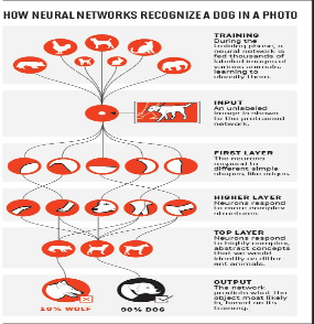神经网络如何识别出图片中有狗