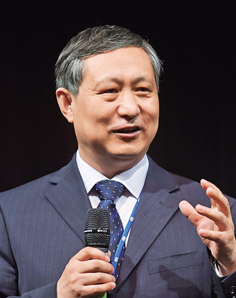 张金