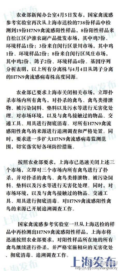 上海已迅速扑杀相关三个市场所有禽鸟