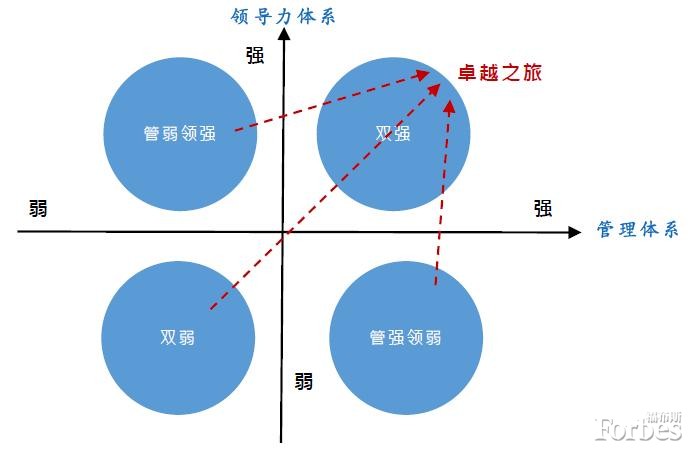 企业在管理与领导力体系强弱区间的分布